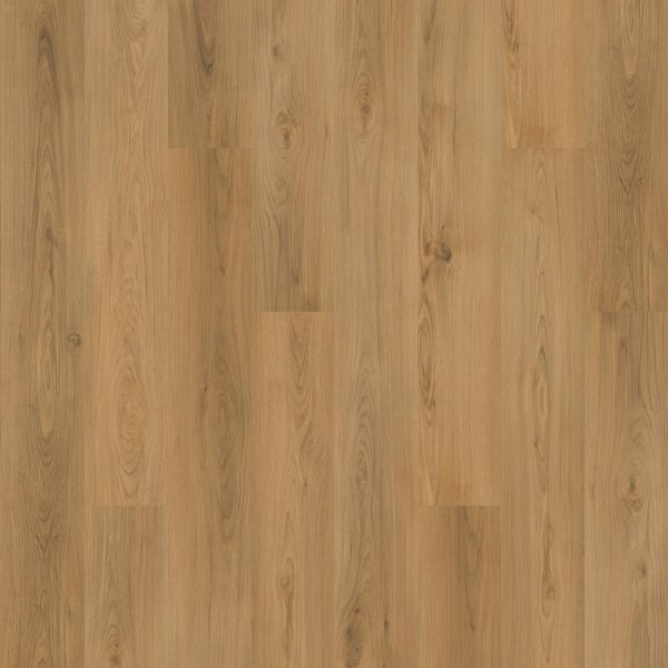 Mohawk Elegant Appeal I - 655 Envy 7 x 59.53