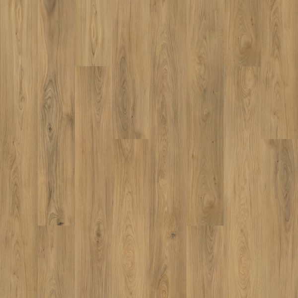Mohawk Elegant Appeal I - 768 Outback 7 x 59.53