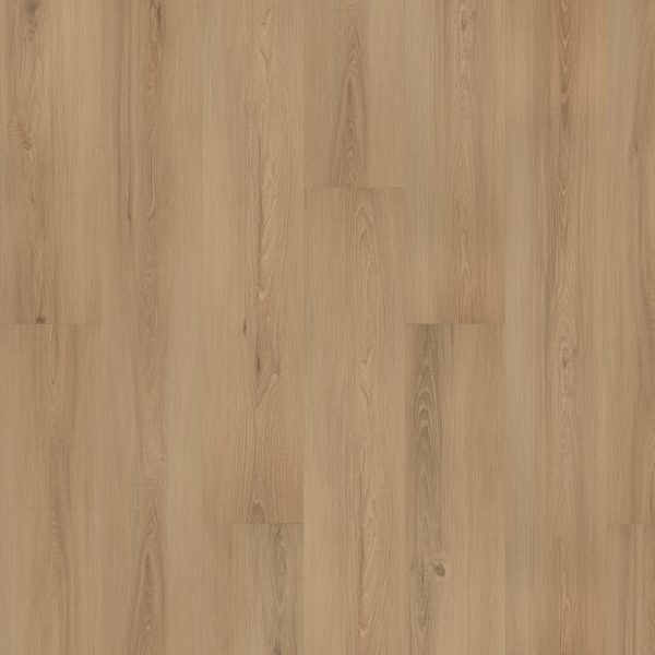Mohawk Elegant Appeal I - 938 London Fog 9 x 59.53