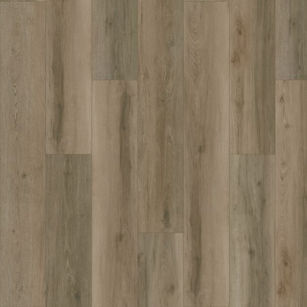 Mohawk Elegant Appeal I - 832 Dash O'spice 9 x 60