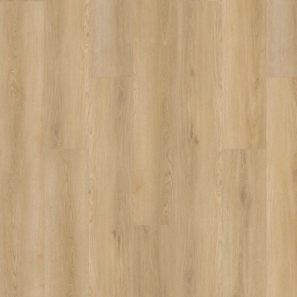 Mohawk Elegant Appeal I - 833 Salutation 9 x 60