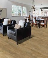 Mohawk Elegant Appeal II - 546 Colorado Springs 9 x 60