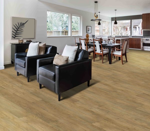 Mohawk Elegant Appeal II - 546 Colorado Springs 9 x 60