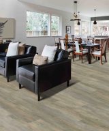 Mohawk Elegant Appeal I - 747 Desert Dust 9 x 60