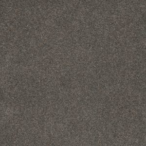 DreamWeaver SERENE III - 2055 Electric