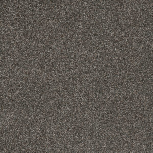 DreamWeaver SERENE II - 2055 Electric