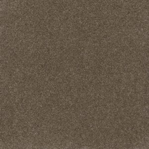 DreamWeaver SERENE III - 2223 Walnut Grove