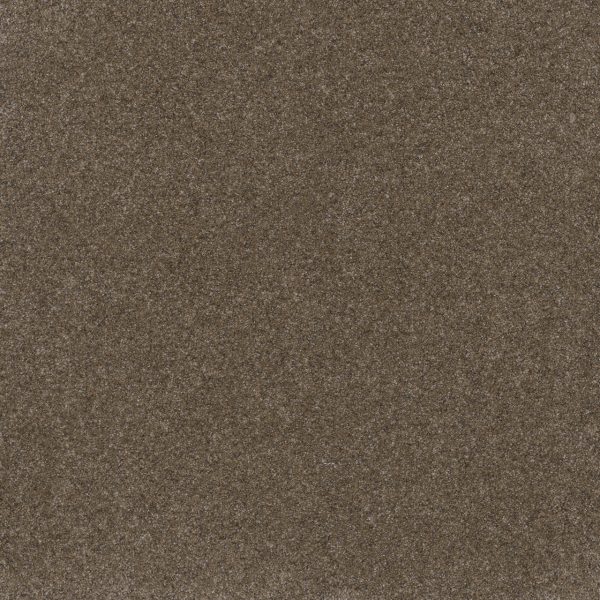 DreamWeaver SERENE III - 2223 Walnut Grove