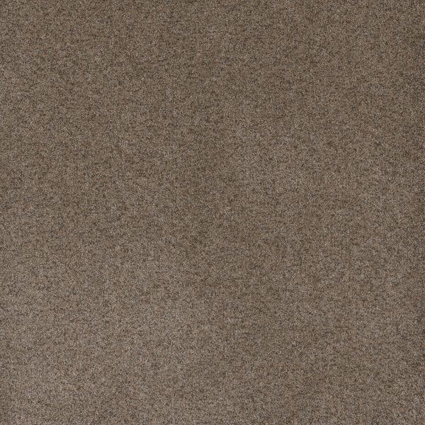 DreamWeaver SERENE II - 2251 Shellbark