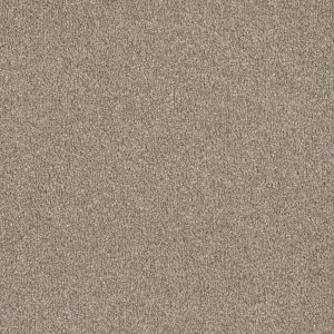 DreamWeaver LUXOR II - 298 Outback