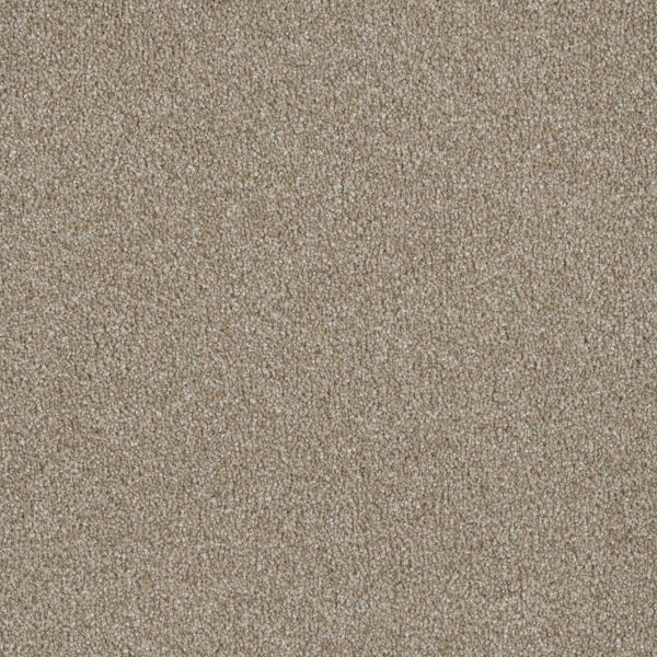 DreamWeaver LUXOR II - 298 Outback