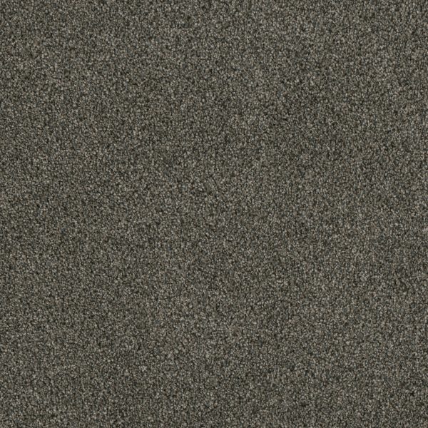 DreamWeaver LUXOR II - 427 Midnight Shadow