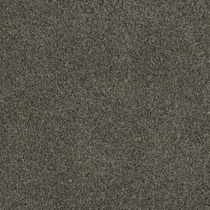 DreamWeaver LUXOR I - 427 Midnight Shadow