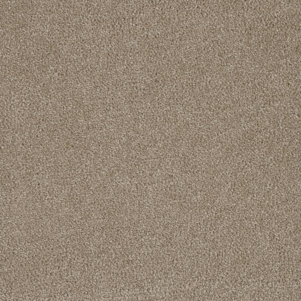 DreamWeaver LUXOR II - 535 Flax Beige