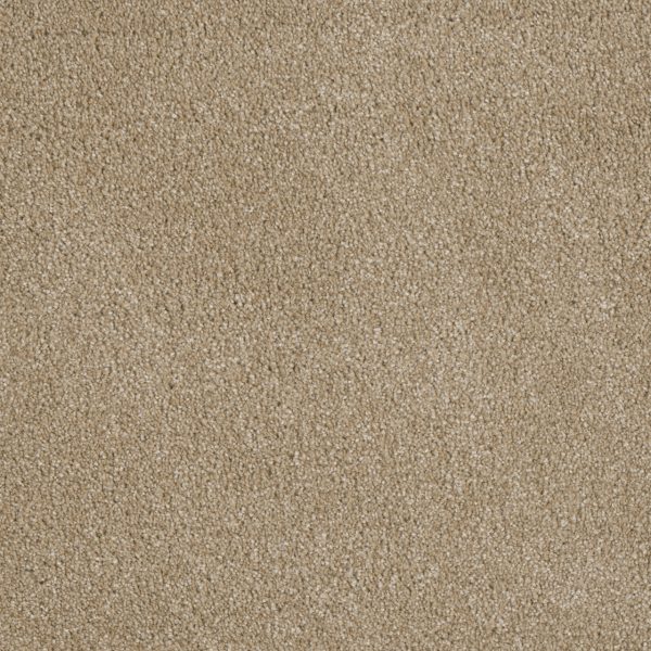 DreamWeaver LUXOR II - 580 Cashmere