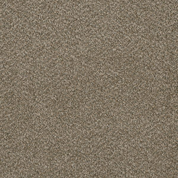 DreamWeaver LUXOR II - 680 Sienna Sand