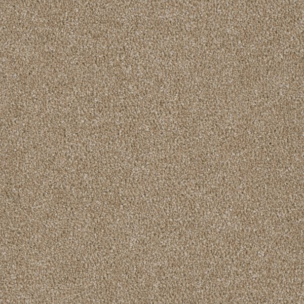 DreamWeaver LUXOR II - 701 Sawgrass