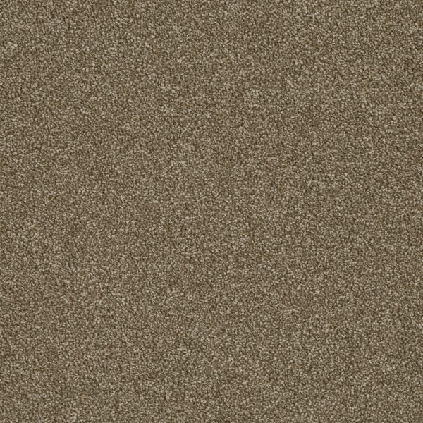 DreamWeaver LUXOR I - 725 Quail