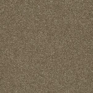 DreamWeaver LUXOR II - 725 Quail