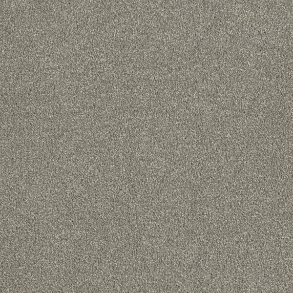 DreamWeaver LUXOR II - 800 Dove