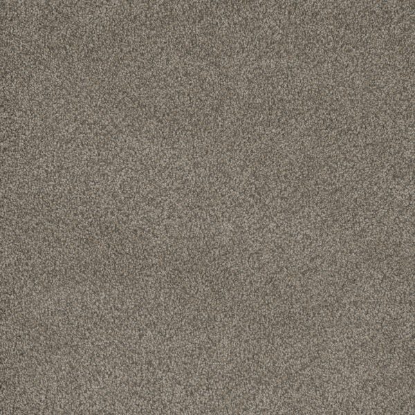 DreamWeaver MONTE CARLO II - 6004 Umber