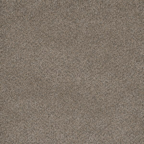 DreamWeaver MONTE CARLO I - 6004 Umber