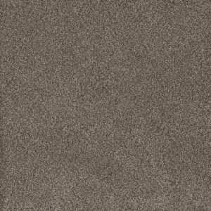 DreamWeaver MONTE CARLO II - 6005 Fawn