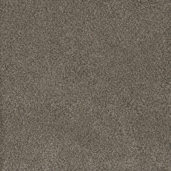 DreamWeaver MONTE CARLO II - 6005 Fawn