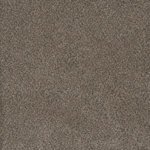 DreamWeaver MONTE CARLO I - 6005 Fawn