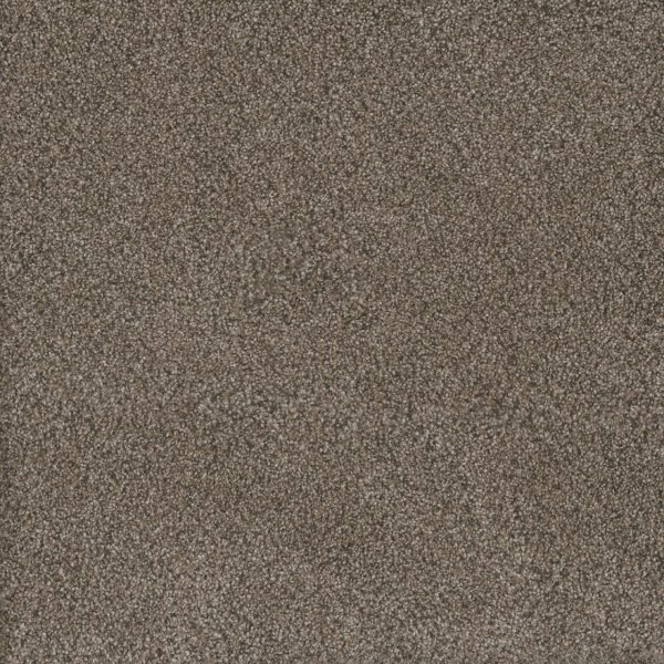 DreamWeaver MONTE CARLO I - 6005 Fawn