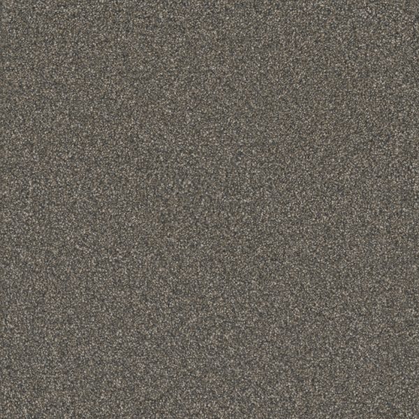 DreamWeaver MONTE CARLO II - 6009 Bordeaux