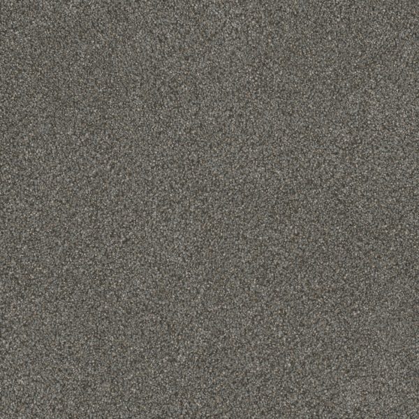 DreamWeaver MONTE CARLO II - 6049 Meadow Dance
