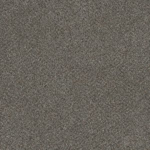 DreamWeaver MONTE CARLO I - 6049 Meadow Dance