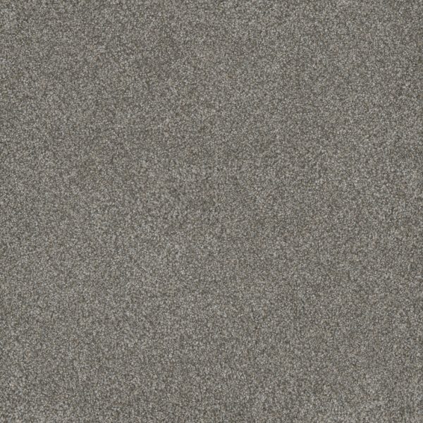 DreamWeaver MONTE CARLO II - 6077 Dogwood