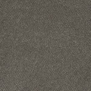 DreamWeaver MONTE CARLO II - 6112 Rugby