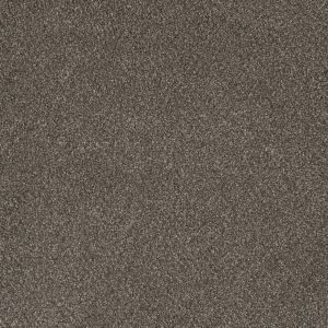 DreamWeaver MONTE CARLO I - 6112 Rugby