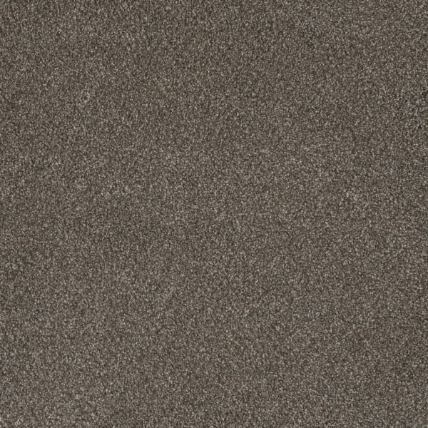 DreamWeaver MONTE CARLO I - 6112 Rugby