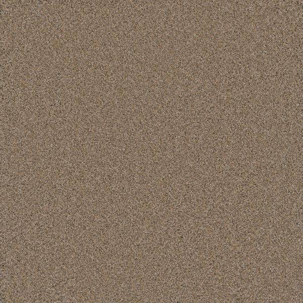 DreamWeaver COSMOPOLITAN II - 726 Ginger