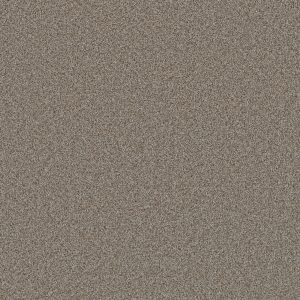 DreamWeaver COSMOPOLITAN II - 815 Iron Frost