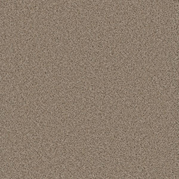 DreamWeaver COSMOPOLITAN II - 824 Linen