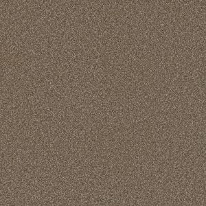 DreamWeaver COSMOPOLITAN II - 858 Acorn
