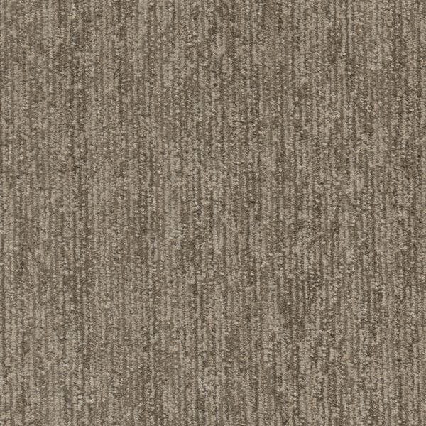 DreamWeaver BAJA II - 8027 Oberon