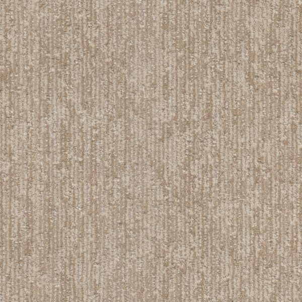 DreamWeaver BAJA II - 8120 Prairie Grove