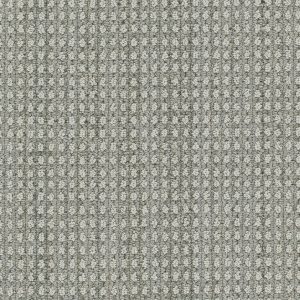 DreamWeaver BRUNSWICK - 8028 Desert Moon