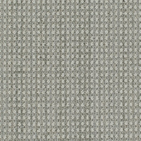 DreamWeaver BRUNSWICK - 8028 Desert Moon