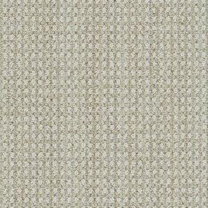DreamWeaver BRUNSWICK - 8060 Shifting Sands