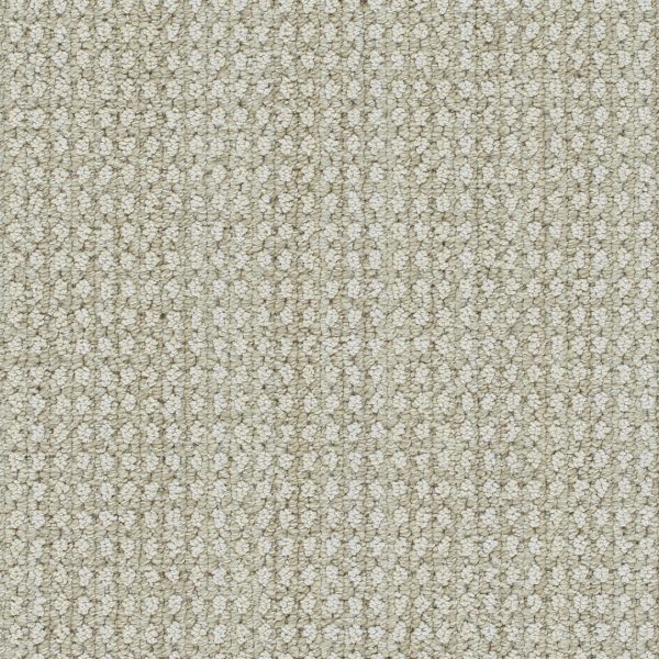 DreamWeaver BRUNSWICK - 8060 Shifting Sands