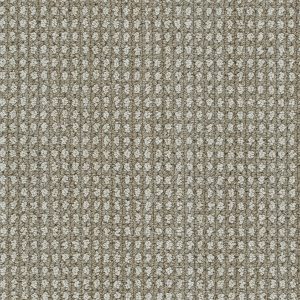DreamWeaver BRUNSWICK - 8081 Shetland