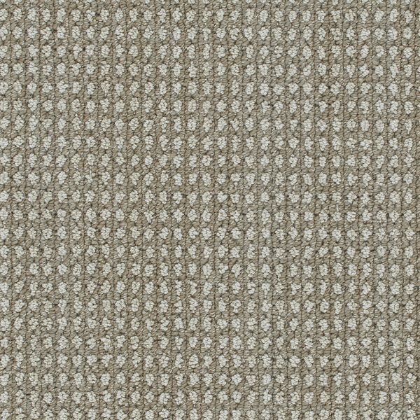 DreamWeaver BRUNSWICK - 8081 Shetland