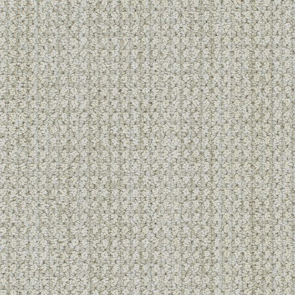 DreamWeaver BRUNSWICK - 8196 Alpaca
